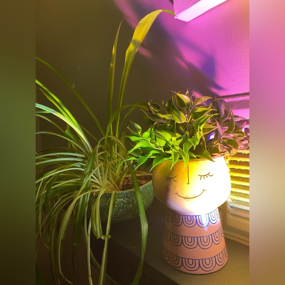 Like for next live show👀😎🎶 - Picture 12 of 16